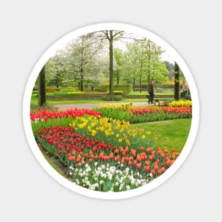 Keukenhof Tulip Festival, Holland Magnet